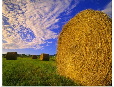Hay Bales In Field, Quebec, Canada