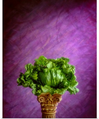 Head of Iceberg lettuce with wrapper leaves on a pedestal