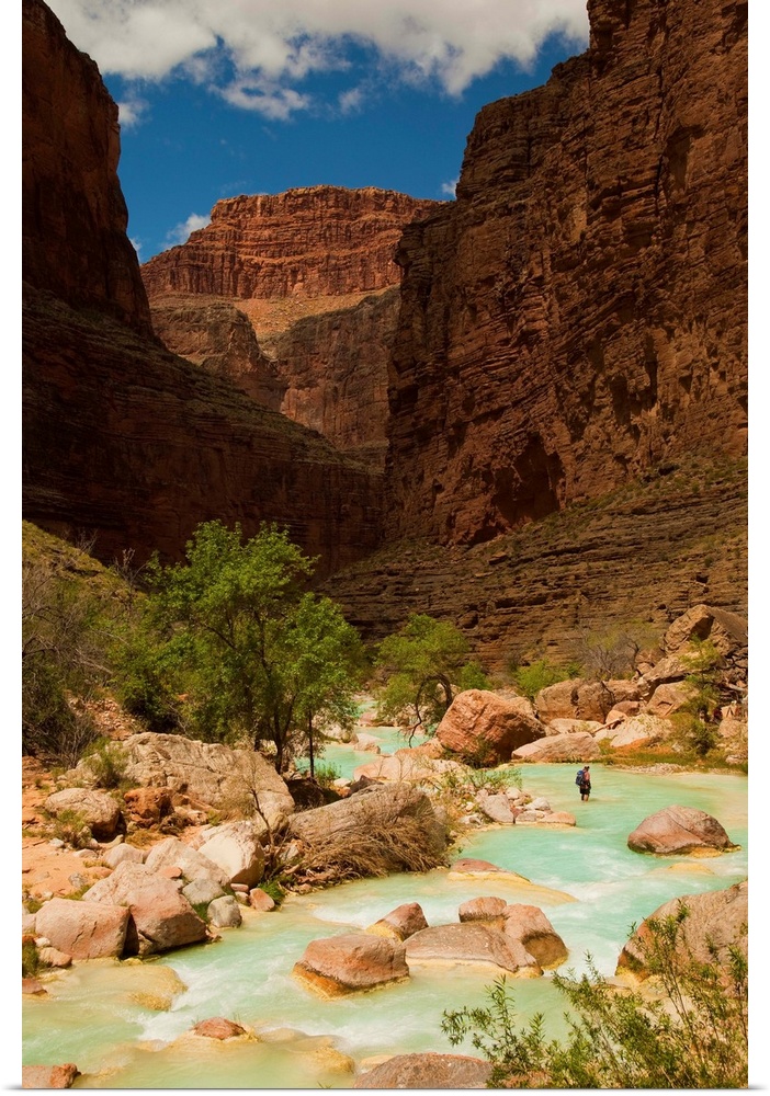 Hiker walking in the turquoise waters of Havasu Canyon.