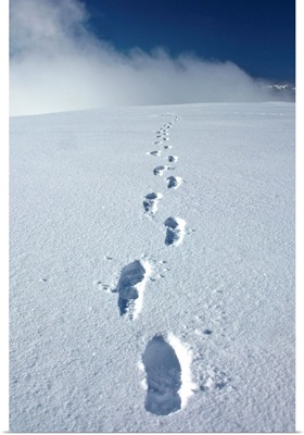 Hikers boot tracks in snow leading up to Primrose Ridge, Winter in Denali National Park