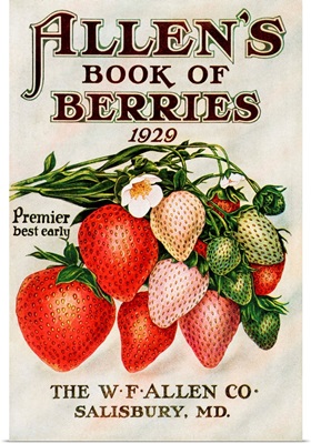 Historic Allen's Book of Berries with illustration of strawberries from 20th century