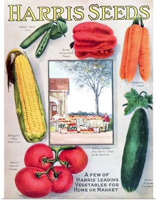 Historic Harris seeds catalog with illustration of vegetables from 20th century