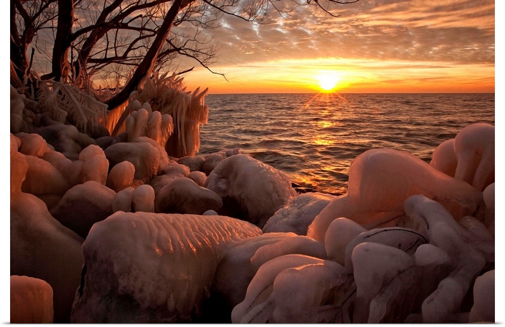 Ice-Covered Trees And Rocks Along The Shore Of Lake Erie, Ontario, Canada