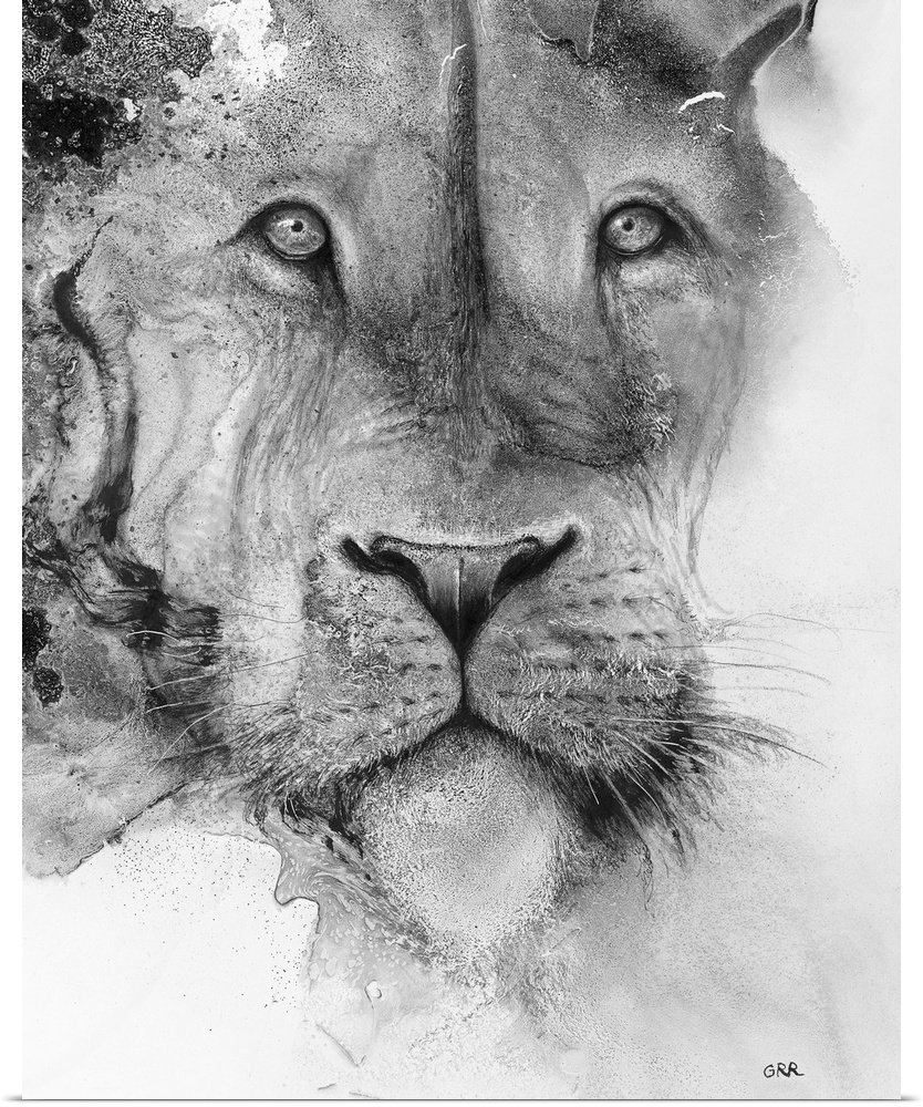 Illustration of a lion's face and a mottled background.
