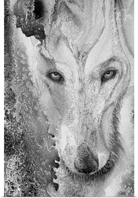 Illustration of a wolf and a mottled background