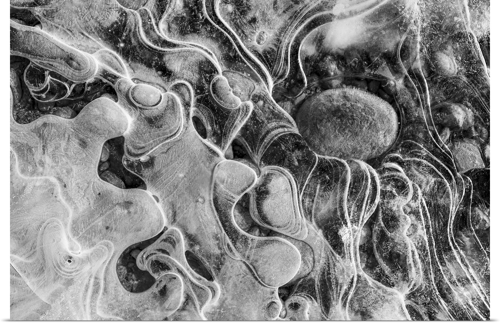 Intricate patterns develop as ice forms along the shoreline of a small pond in Alaska's Tongass national forest, Alaska, u...