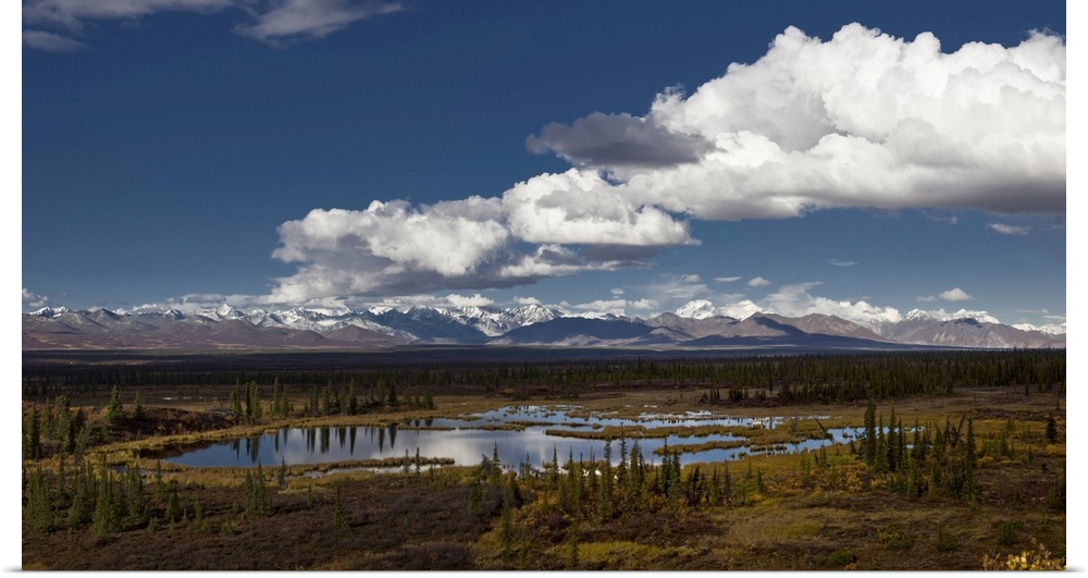Scenic View Of A Kettle Pond With The Alaska Range In The Background, Interior Alaska