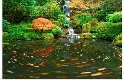 Koi Pond, Oregon