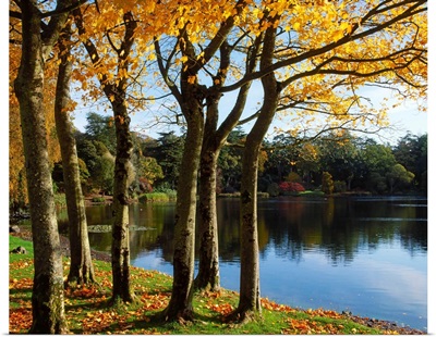 Lake And Trees, Mount Stewart, County Down, Ireland