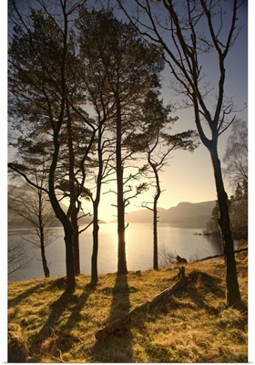 Lake Scenic At Sunrise, Cumbria, England