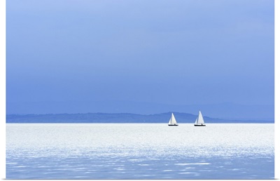 Lake With Sailboats At Weiden Am See, Lake Neusiedl, Burgenland, Austria
