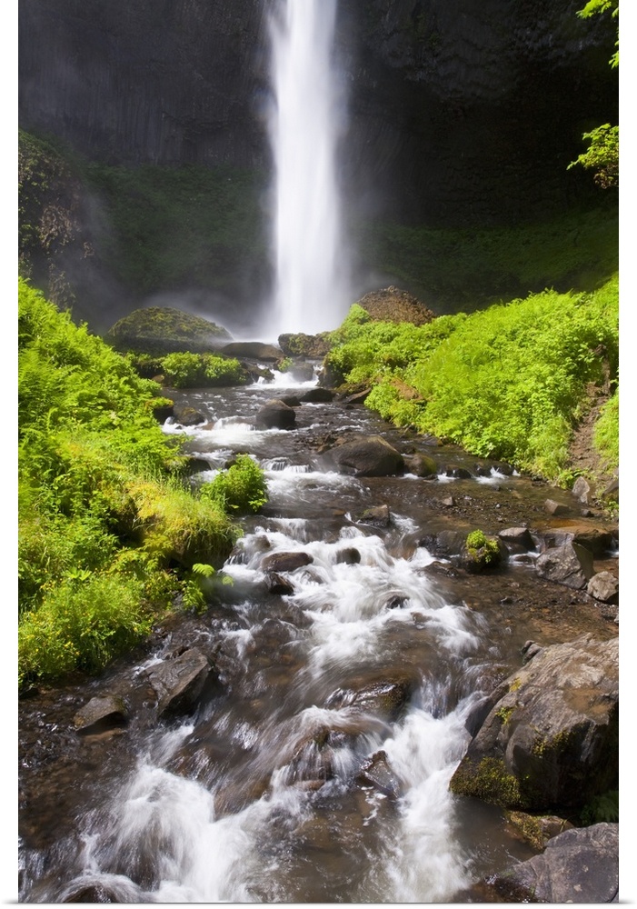 Latourell Falls In The Columbia River Gorge National Scenic Area, Oregon