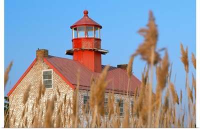 Lighthouse In Wheat Field, New Jersey, USA