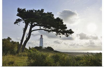 Lighthouse On The Dornbusch In The Morning, Baltic Sea, Western Pomerania, Germany