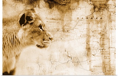 Lion In Front Of An Old Map Of Africa