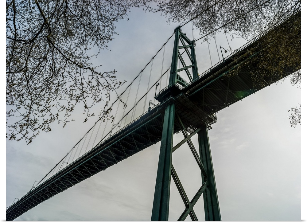 Low angle view of Lions Gate Bridge, Stanley Park; Vancouver, British Columbia, Canada