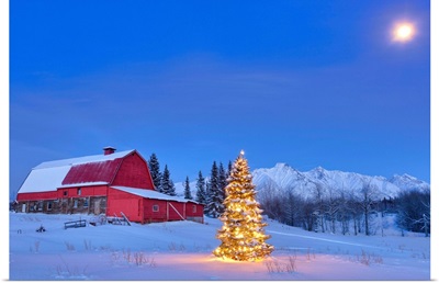Lit christmas tree in a snow covered field standing in front of a red barn