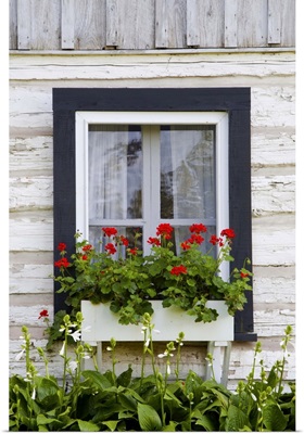 Log Home And Flower Box In The Window; Iron Hill, Quebec, Canada