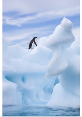Lone Adelie Penguin Standing On Spiral Sea Ice Sculpture, Antarctica