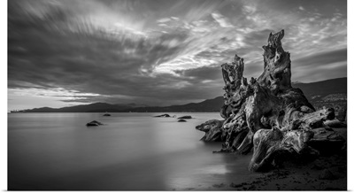 Long Exposure Of Driftwood At Water's Edge, Vancouver Coastline At Stanley Park, Canada