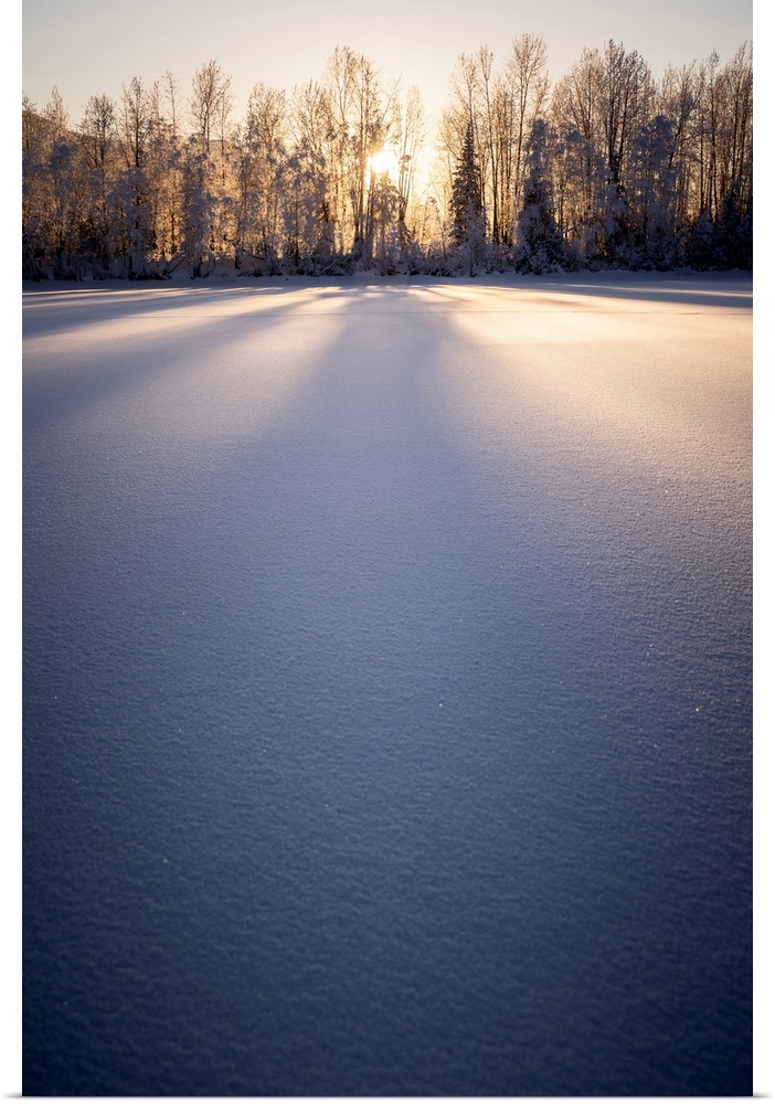 Long shadows fall on snow at sunset, palmer hay flats in Alaska, USA. Palmer, Alaska, united states of America.