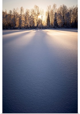 Long Shadows Fall On Snow At Sunset, Palmer Hay Flats In Alaska