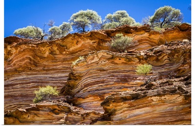 Low Angle View Of Cliff And Trees, The Loop, Kalbarri National Park, Australia