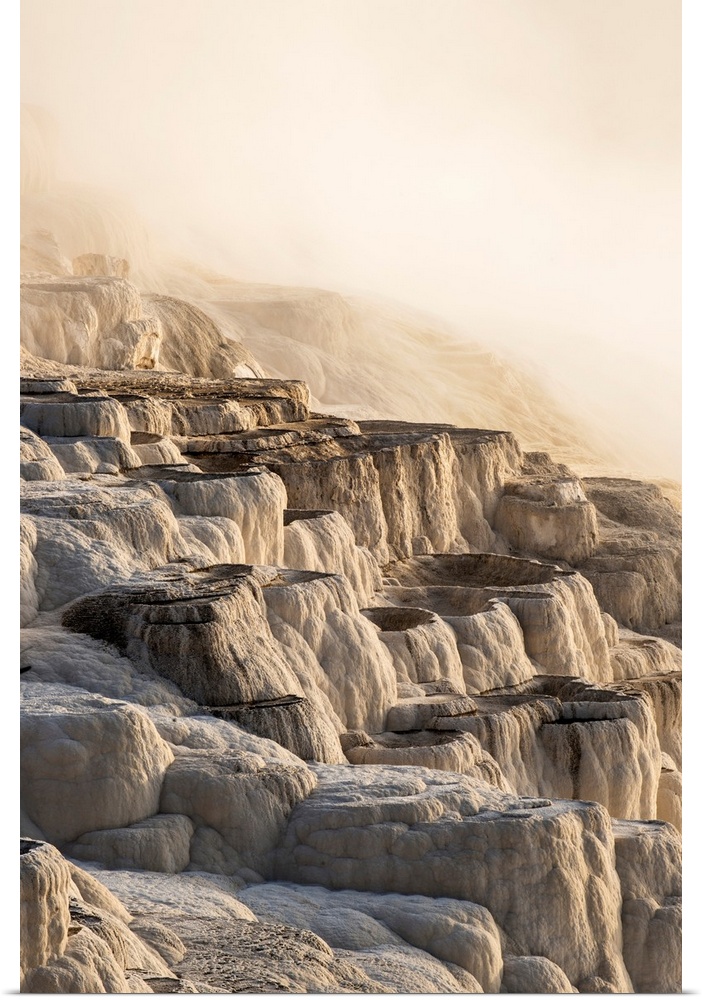 Morning light burns through heavy steam at Mammoth Springs, Yellowstone National Park. Wyoming, United States of America.