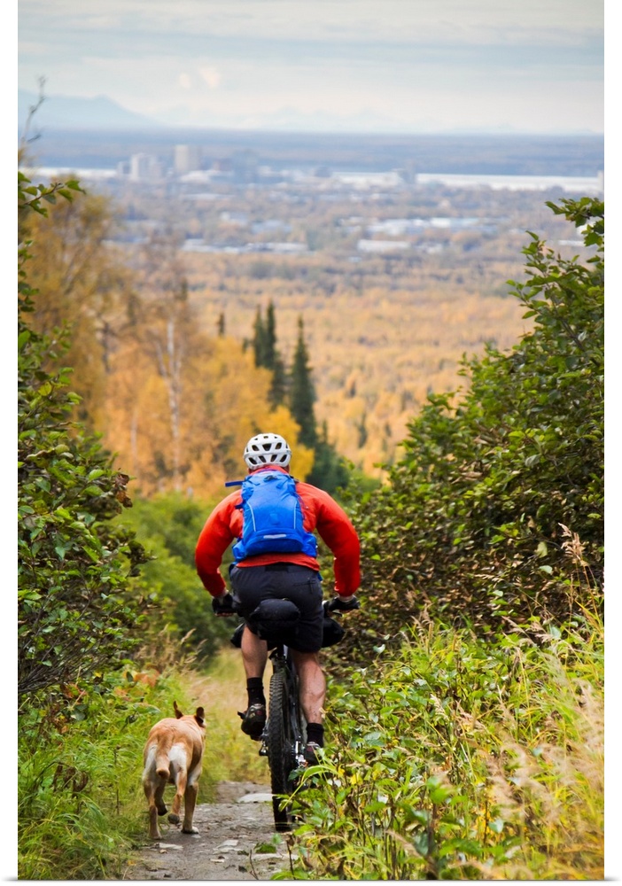 Man Mountain Biking With Dog Running Beside Him, Anchorage, Alaska