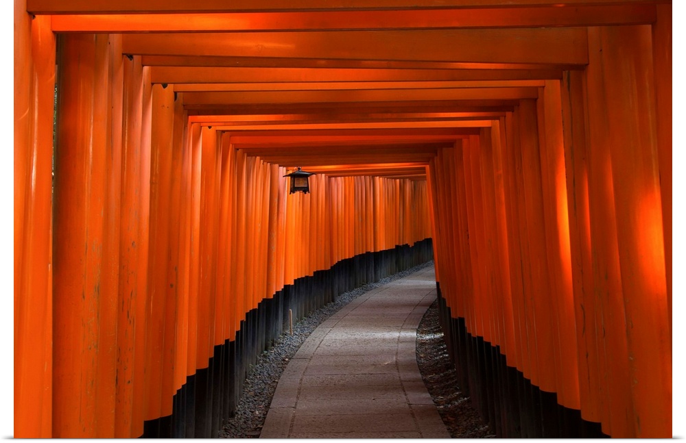 Many tori gates at Fushimi Inari. Kyoto, Japan.