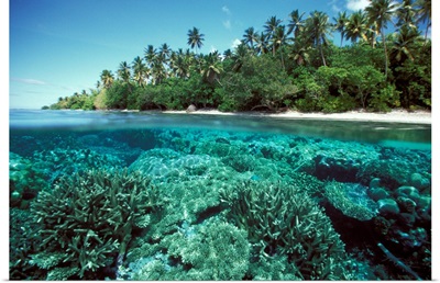 Micronesia, Caroline Islands, Pohnpei