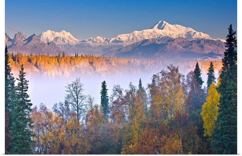 The early morning sun lights up Mount McKinley, and the Alaska range as fog covers the Chulitna River valley, photographed...