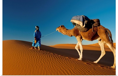 Morocco, Berber leading camel across sand dune near Merzouga in Sahara Desert