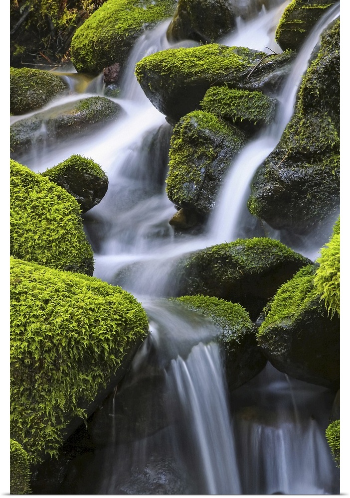 Moss-covered rocks with cascading water, Denver, Colorado, united states of America.