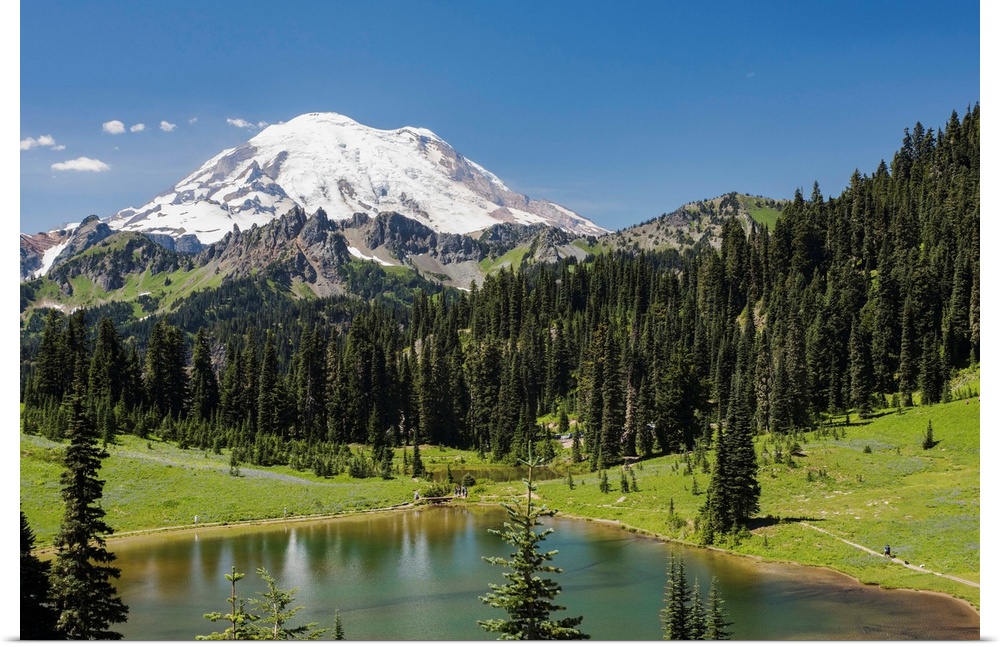 A view of Mount Rainier above Tipsoo Lake, near the top of Chinook Pass on Highway 410 in the Cascade Mountains, Washingto...