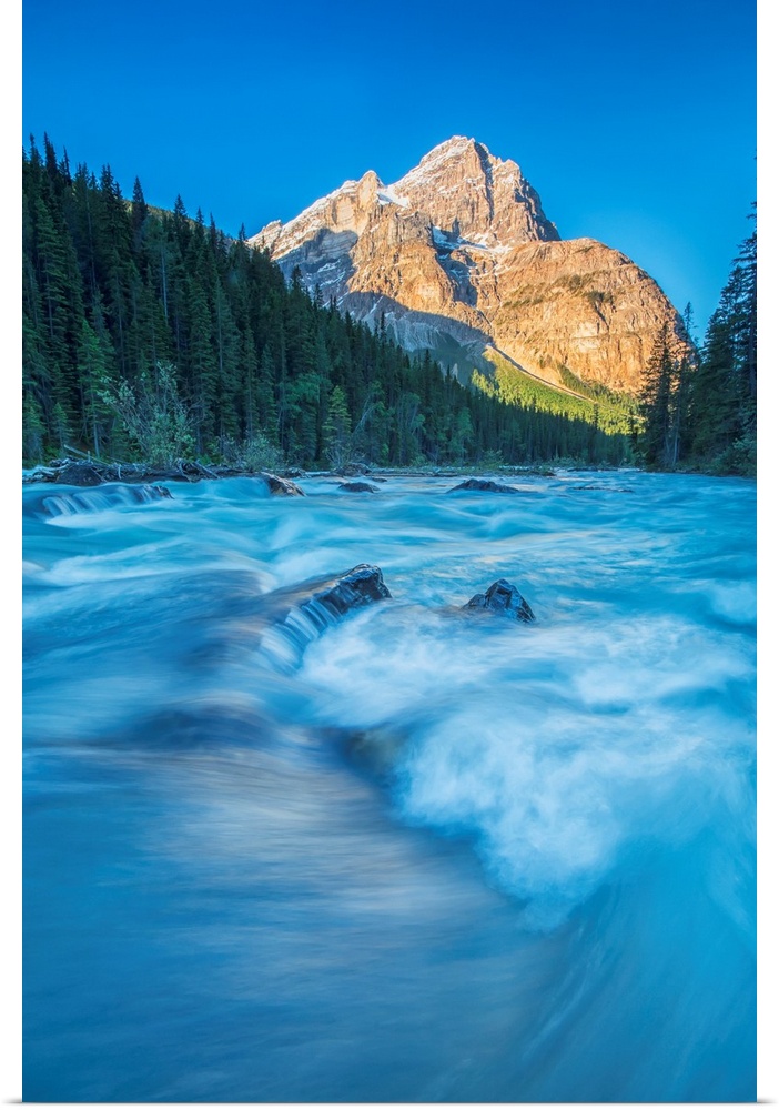 Mount Stephen lights up as the sun rises while the Yoho river flows by, Yoho National Park, Canada.