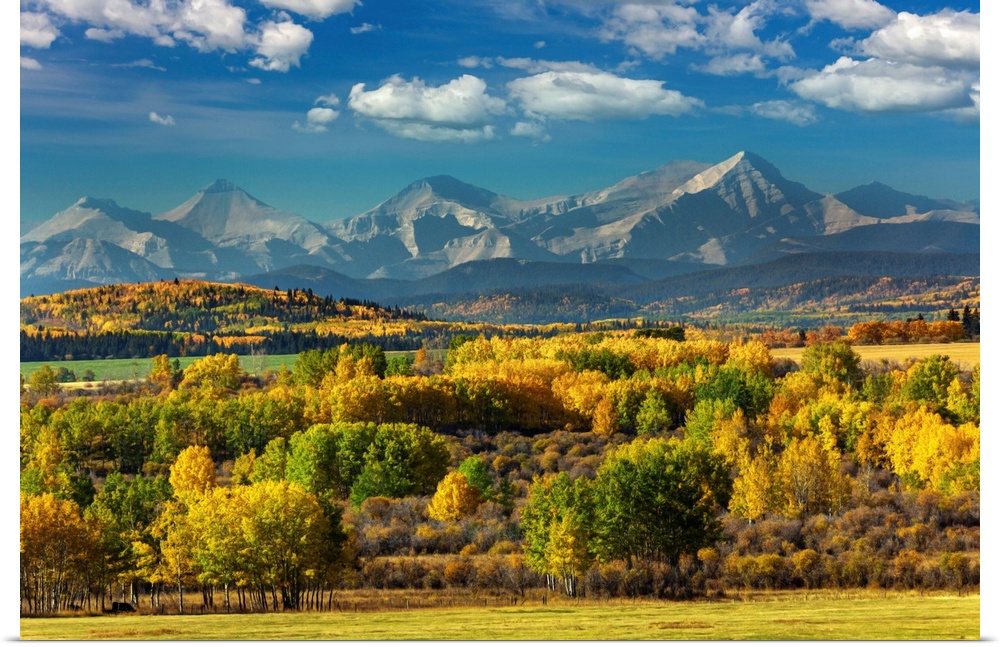 Mountain range with colourful covered treed foothills in the fall with blue sky and clouds, West of Calgary, Alberta, Albe...