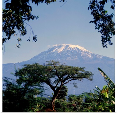 Mt. Kilimanjaro, Moshi, Tanzania