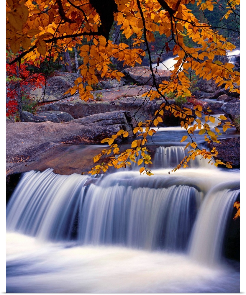 Fall scene with a waterfall under a branch full of orange leaves.