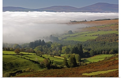 Nire Valley Landscape; Clonmel, County Tipperary, Ireland