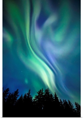 Northern Lights, Tongass National Forest, Near Juneau, Alaska, United States Of America
