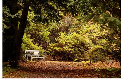 Northumberland, England, UK, Park Bench Along A Path In Autumn