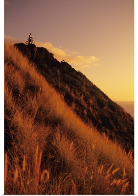 Oahu, Lanikai, Mountain Biker At Top Of A Hill At Sunset