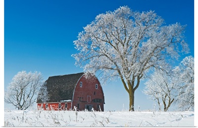 Old Red Barn In Winter, Near Oakbank, Manitoba, Canada