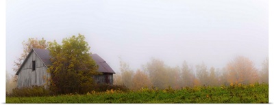 Old Wooden Barn In A Foggy Field In Autumn, Waterloo, Quebec, Canada