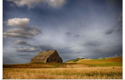 Old wooden barn in a wheat field under a cloudy sky, Palouse, Washington
