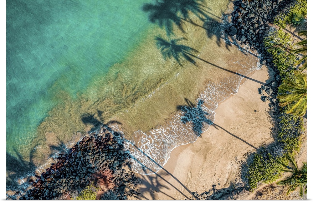 Aerial view of palm tree shadows on the sand of a tropical beach at the water's edge. Kihei, Maui, Hawaii, united states o...
