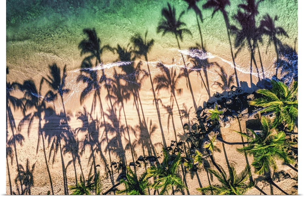 Aerial view of palm tree shadows on the sand of a tropical beach at the water's edge, Kihei, Maui, Hawaii, united states o...