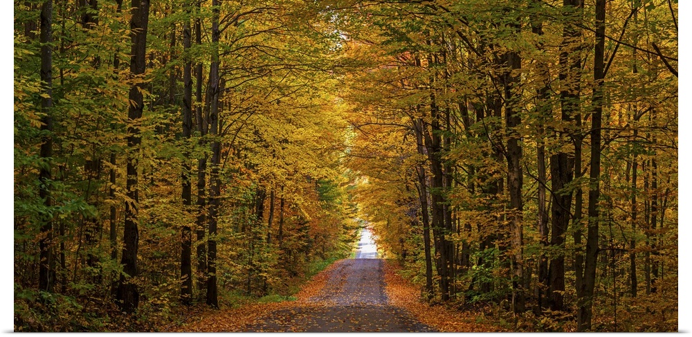 Panorama of country road in autumn, Iron Hill, Quebec, Canada.