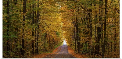 Panorama of country road in autumn, Iron Hill, Quebec, Canada